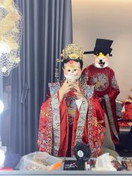 点击看大图 -青禾蒙娜丽莎婚纱摄影(武汉总店)