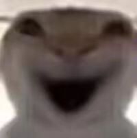 -山东大学(兴隆山校区)