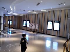 -百丽宫影城(CGS激光苏宁广场店)
