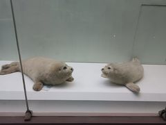 -国家自然博物馆