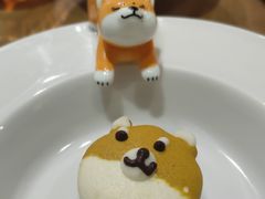 -柴务处·柴犬主题狗咖