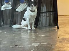 -CrossFit MeWellness