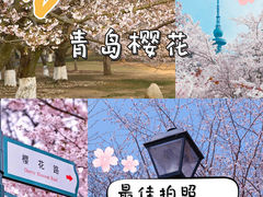 -吕氏焗小鲜•海鲜青岛菜(总店)