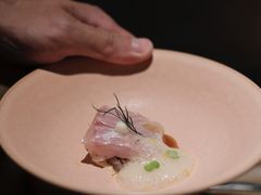 真鲷焦黄油-EGoN