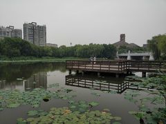 -新江湾城公园