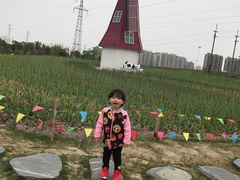 -菊园百果园