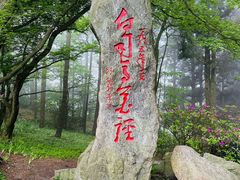 -庐山风景区花径公园