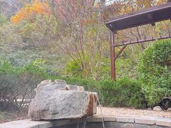 -徂徕山森林康养度假谷温泉