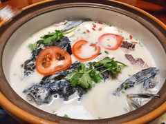 -全乐鱼馆·淳牌有机鱼直营店