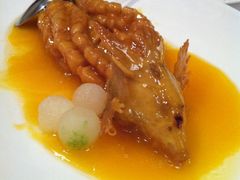 松鼠桂鱼-福1088