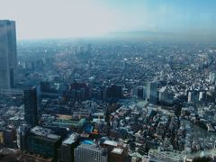 -东京都厅舍