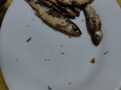 -煲来饱去冷水鱼
