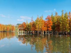 -白鹭湾湿地公园