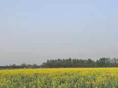 -汉长安城未央宫国家考古遗址公园