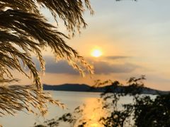 -上海市保健医疗中心