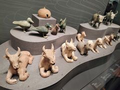 -广西壮族自治区博物馆