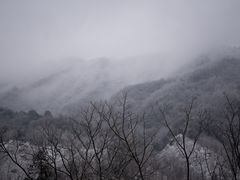 -浙西天池景区