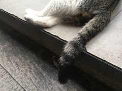 -UNI UNI(环亚凯瑟琳店)