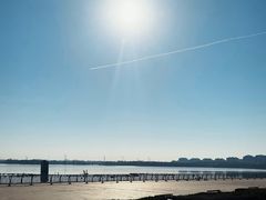 -武清南湖绿博园