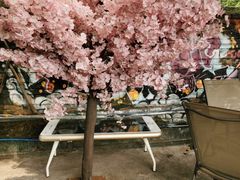 -柴犬高等学院·狗咖·柴犬售卖·宠物训练