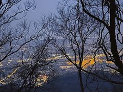 -紫金山山顶公园