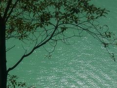 -广州市流溪河国家森林公园