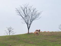 -良渚古城遗址公园