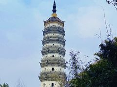 -徽园