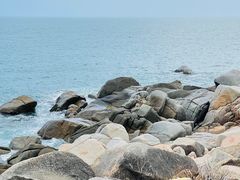 -广东惠东海龟国家级自然保护区