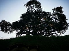 -霍比特人村