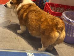 -云南李记罐罐米线饵丝小吃(汉中门金鹰店)