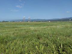 -敕勒川草原