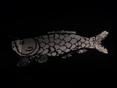-白鹤梁水下博物馆