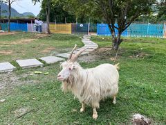 -云漫湖生态度假公园