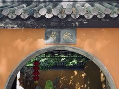 -紫金山山顶公园