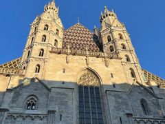 -斯蒂芬主教座堂(Stephansdom)