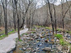 -玉渡山自然风景区