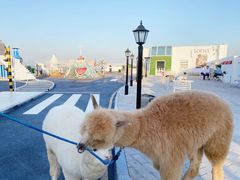 -Blue Concept Cafe&Farm·關於藍