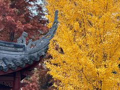 -石家庄市植物园