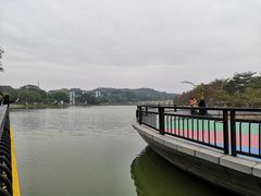 -东莞植物园