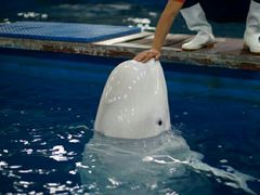 -福州罗源湾海洋世界旅游区