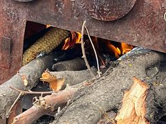 -长春公园(普阳街道)