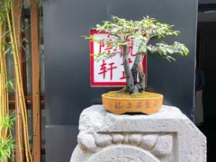 -觀芷隐轩