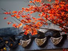 景点-玲珑塔公园