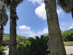 -东极岛景区