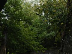 -烟台山景区