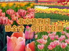 -国家植物园