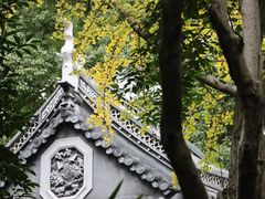 -汇龙潭