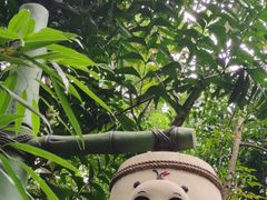 -广州长隆野生动物世界