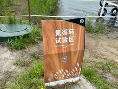 -黑龙江扎龙生态旅游区